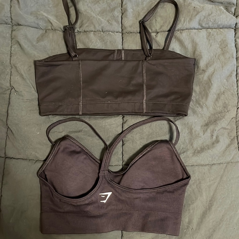 gym shark sports bras